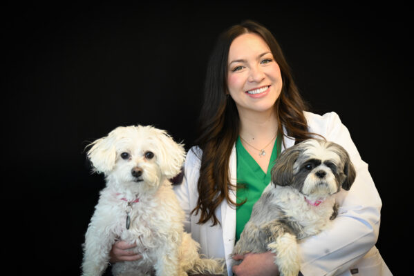 Dentist in Pittsburgh, PA | Meet Our Therapy Dogs